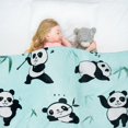thumbnail image 3 of Panda Blanket Girts for Panda Lovers Throw Fleece Blanket Throw Blanket for CouchSofaBedChair Decorations 50 x 60 inches, 3 of 6