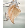 thumbnail image 2 of Murdock, Ramona 26x32 White Modern Wood Framed Museum Art Print Titled - Milkweed Pod III, 2 of 4