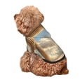 thumbnail image 5 of Honeii Golden Drapes Pillars Clouds Print Small Dog Hoodies Pet Hooded Sweatshirts Fall Winter Puppy Cat Sweaters Warm Clothes for Small Dogs Outfits Costume-X-Small, 5 of 7