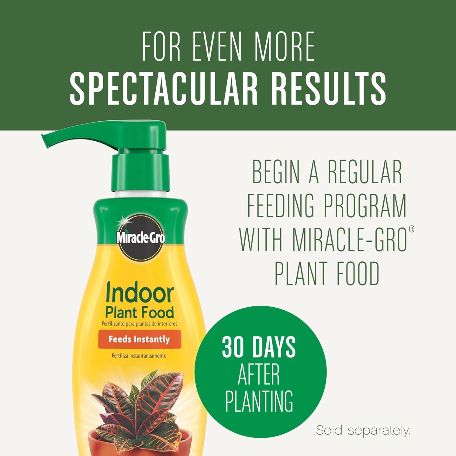 Houseplant Potting Mix - Fertilized Indoor Plant Soil for Containers, Designed to be Less Prone to Gnats, 4 qt.
