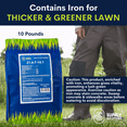 thumbnail image 3 of Supply Solutions 21.4-7-14.1 Lawn and Turf Fertilizer - Plant Food for Lawn Achieves a Lush Green Lawn in Weeks - Turf Builder (10lbs), 3 of 8