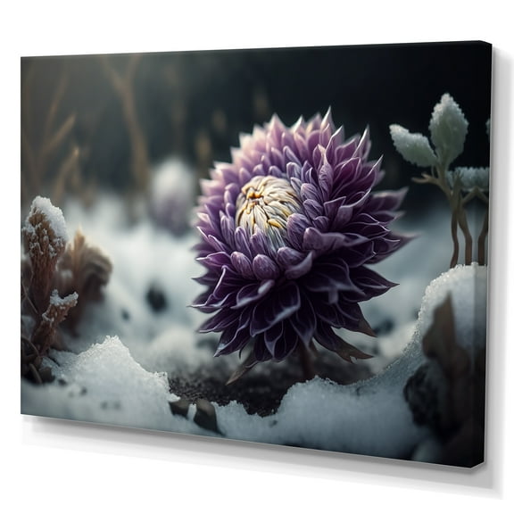 Designart A Blooming Purple Dahlia Flower In Winter I Canvas Wall Art