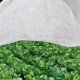 thumbnail image 4 of Barrera antihierbas o cobertor vegetal para protección contra heladas, tela resistente para paisajismo de jardín, tapete de control de malezas premium para jardines (1,5 x 7,9 m),, 4 of 7
