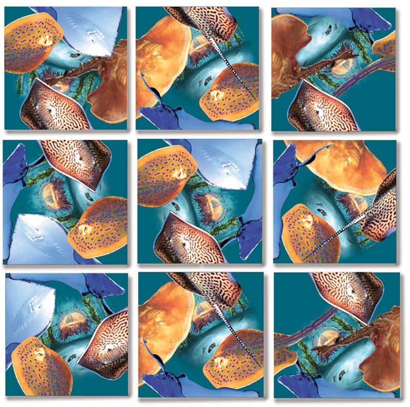 Scramble Squares Stingrays 9 Pc Non Interlocking Brain ...