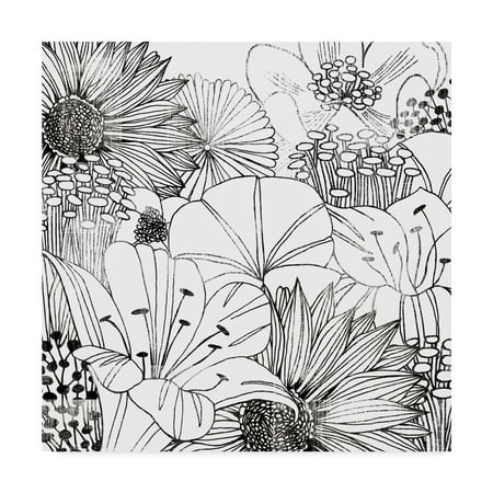 - Trademark Fine Art 'Contemporary Garden I Black and White' Canvas Art by Michael Mullan