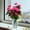 Watermelon Red, variant on (Garden Decor)Indoor Silk Flower Artificial Faux Flowers Outdoor UV Resistant Garden Plants Faux Plants For Indoor Home Kitchen Table Centerpieces Decor-White (Vase not included)