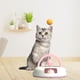 thumbnail image 3 of Juguetes interactivos para gatos, pelota, plumas, varita, palo para gatos de interior que persiguen Rosado, 3 of 7