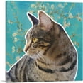 thumbnail image 1 of ARTCANVAS Domestic Cat Breed Canvas Art Print - Size: 18" x 18" (1.50" Deep), 1 of 9