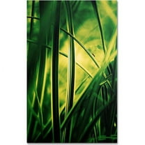 Trademark Fine Art "Miniature" Canvas Art by Philippe Sainte-Laudy