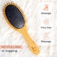 thumbnail image 3 of Detangler Brush Hair Brush - Hair Brushes for Women, Mens Hair Brush, Kids Hair Brush, Use With Hair Products, Wet or Dry Detangling Brush, Hair Detangler Bristle Brush, Bamboo Hair Brush (1 pack), 3 of 7