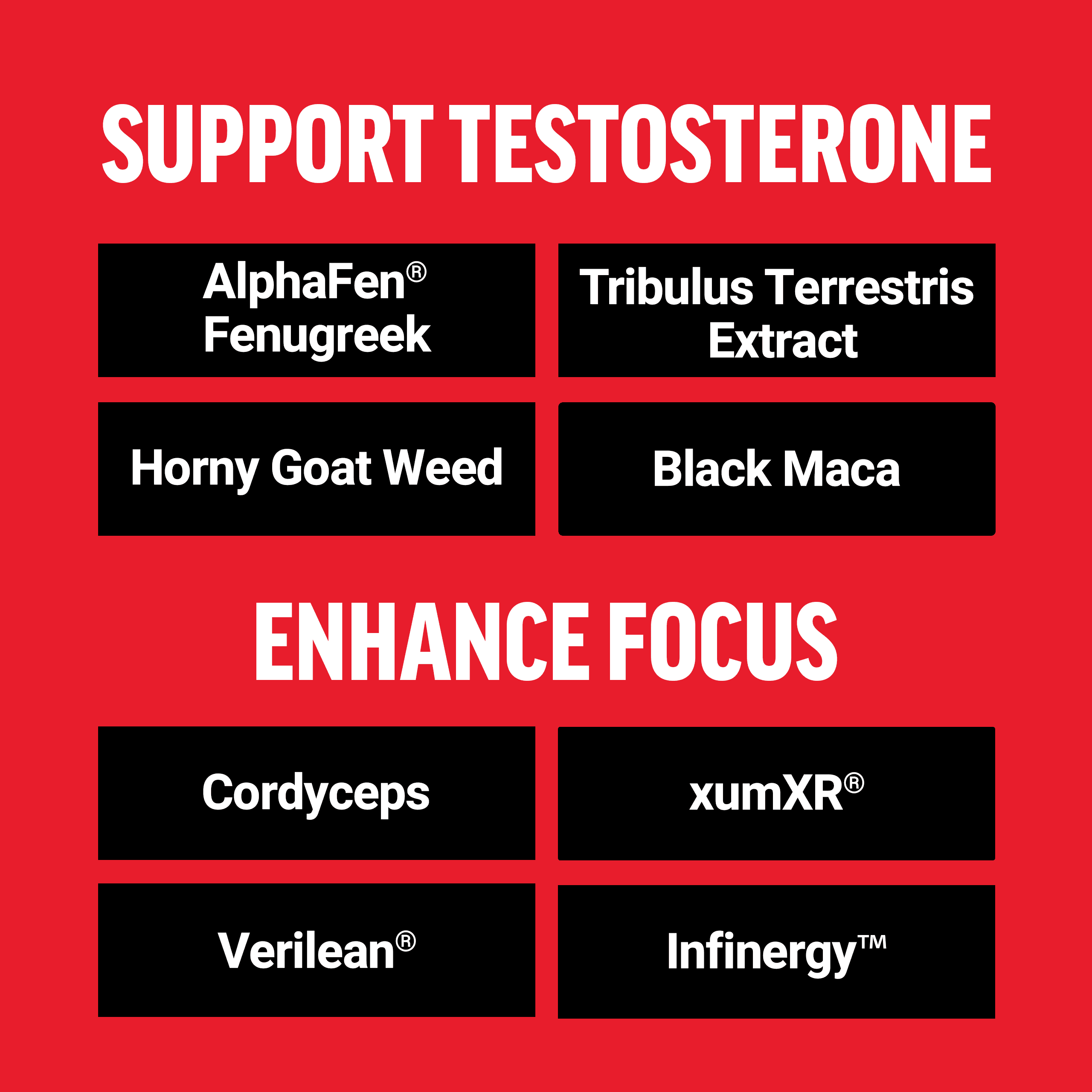 Force Factor Test X180 Surge Testosterone Booster for Men, Supports Lean Muscle, Strength, Energy, and Libido with Fenugreek and Black Maca, 60 Capsules