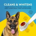 thumbnail image 3 of RADIUS USDA Organic Canine Toothpaste, Sweet Potato Cinnamon Flavor, 3 oz Pet Dental Care, 3 of 13