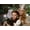 Unframed, variant on Art.com The Wizard of Oz, Judy Garland, Billie Burke, 1939 Stretched Canvas Print Wall Art, 16" x 12"