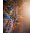 thumbnail image 3 of Love Grams 15x18 Black Modern Framed Museum Art Print Titled - Falling for You, 3 of 5