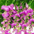 thumbnail image 2 of 12 Pack Artificial Wisteria Vine Fake Wisteria Hanging Garland Silk Long Hanging Bush Flowers String Home Party Wedding Decor, 2 of 6