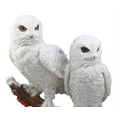 thumbnail image 6 of Ebros Mystical Two White Snowy Owl Couple Perching On Tree Branch Statue 12.25"Tall, 6 of 7