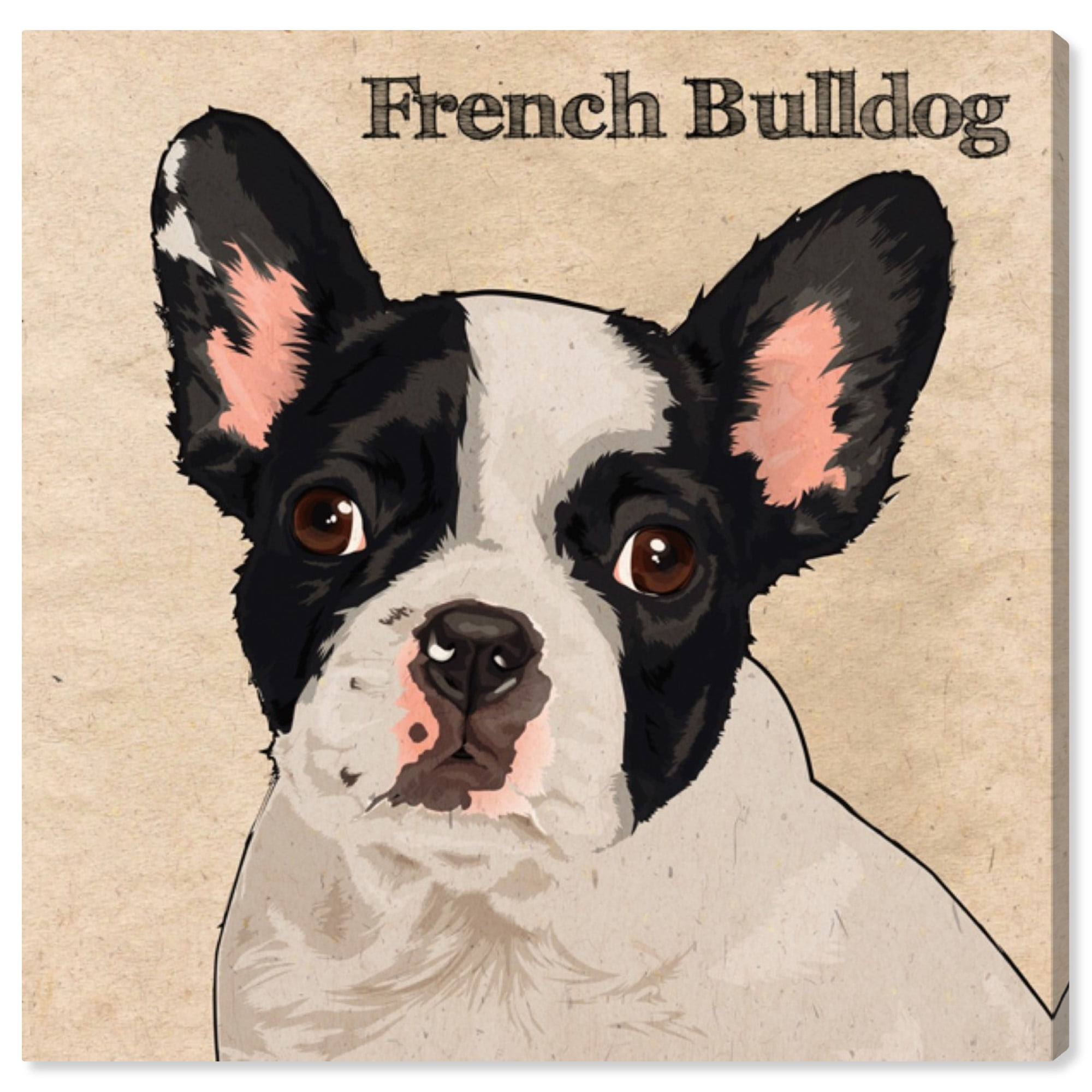 Runway Avenue Animals Wall Art Canvas Prints 'French ...