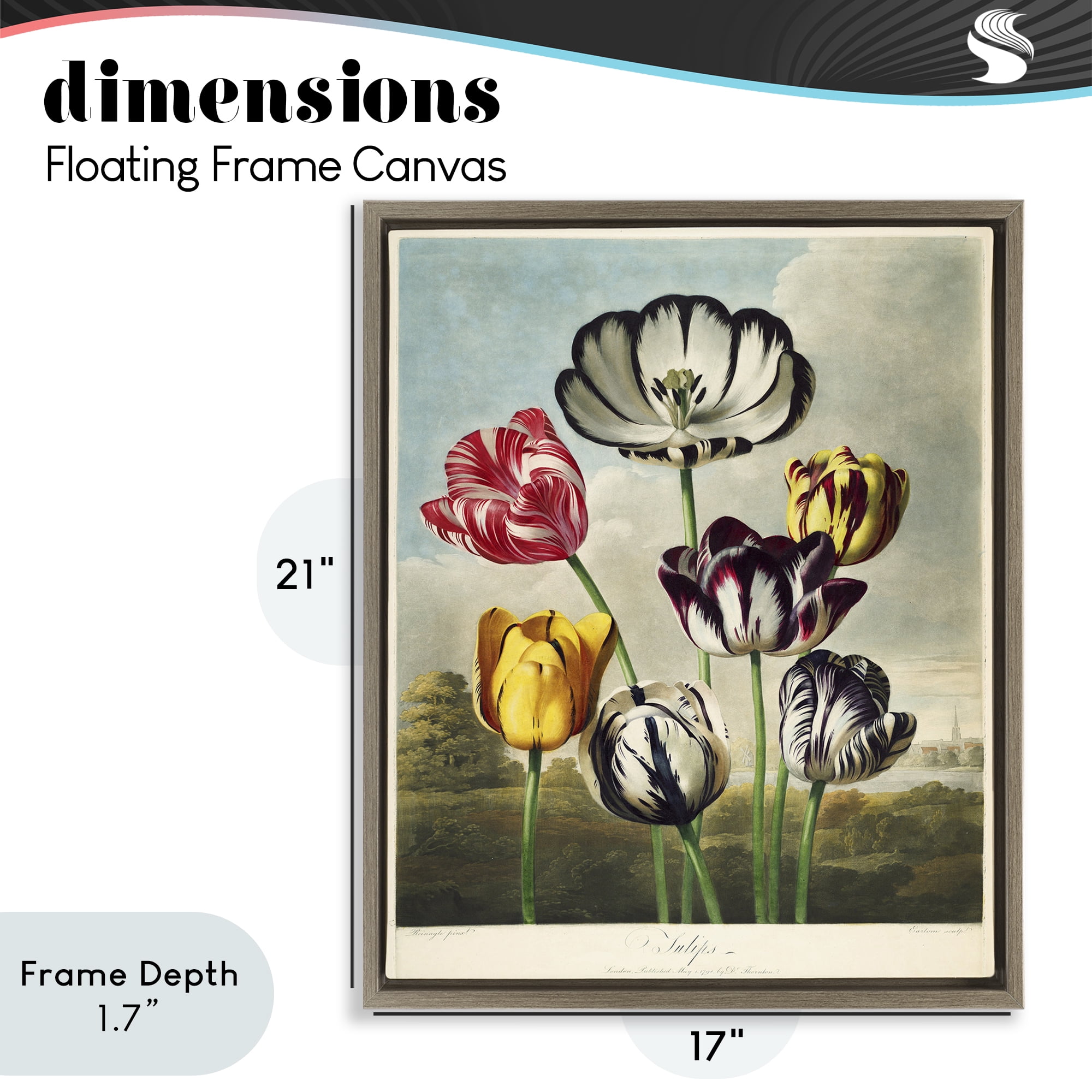 Stupell Industries Tulips From The Temple Brown Framed Floater Canvas Wall Art, design by Print Collection