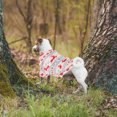 thumbnail image 3 of IFANLANDOR 1Pc White Pet Christmas Costume Breathable Dog Apparel with Elk Pattern for Holiday Parties, 3 of 6