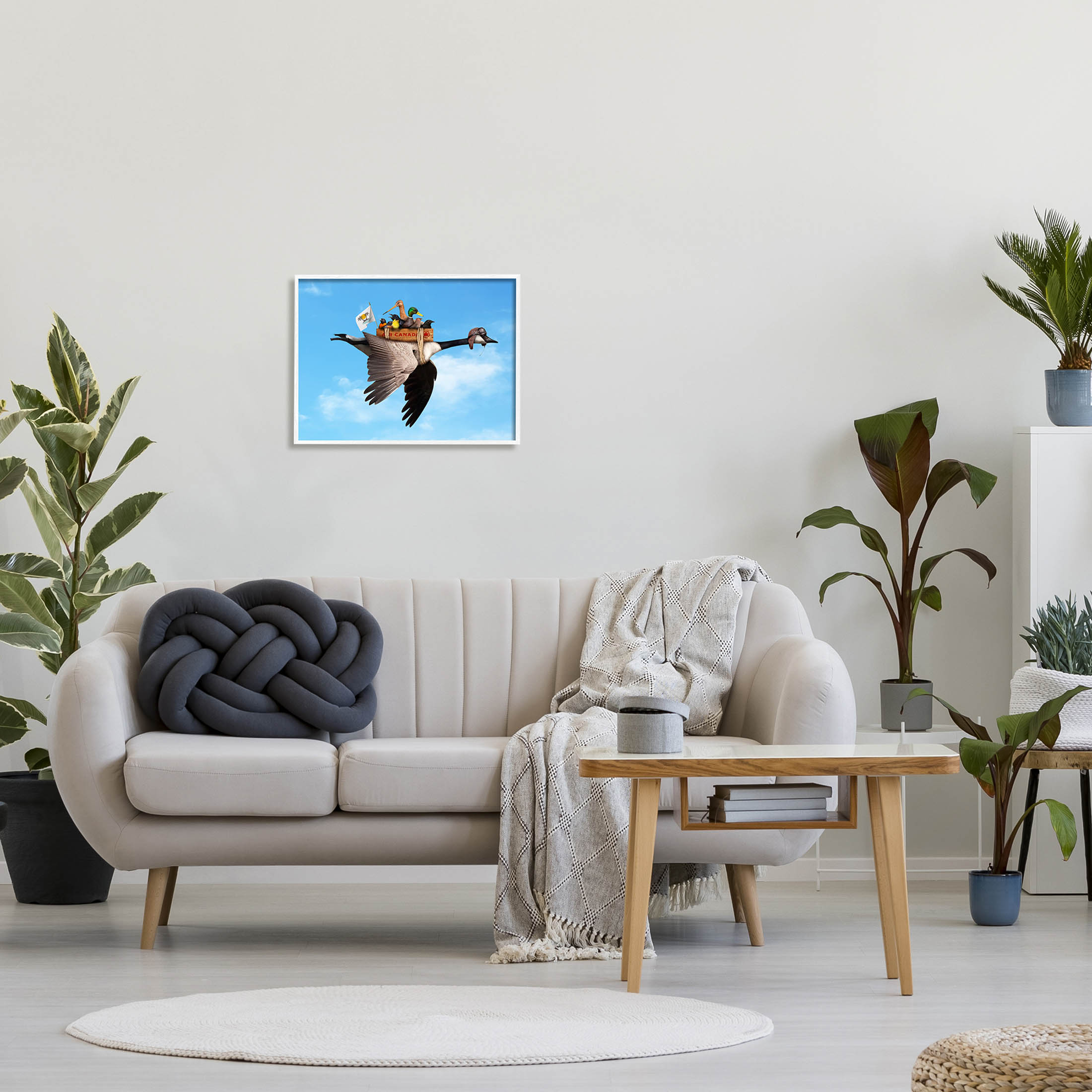 Pilot Goose Flying Ducks Sky Animals & Insects Graphic Art White Framed Art Print Wall Art