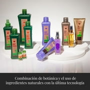 Salerm Biokera Natura For Treated Hair Shampoo - Size : 10.8 oz