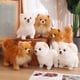 thumbnail image 4 of Premium Cute Real Life Soft Lovely Plush Pomeranian Dog Toy Gift for Kids 11 Inch, 4 of 5