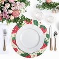 thumbnail image 4 of Ryvnso Strawberry Fruit Round Plate Mats Dining Table Placemat Set of 4 for Holiday Decoration, 4 of 7