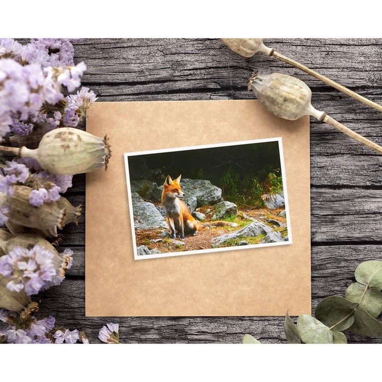 Set Of 20 Adorable Autumn & Animal Themed Blank Postcards - 4x6 Fill-in Notecards (4 Designs)