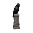 thumbnail image 4 of Clearance! Halloween Light‑Up Raven Figurine, 7.87in LED Red Eye Black Halloween Tabletop Statue, Gothic Resin Crow Ornament for Halloween Decorations, 4 of 6
