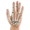 thumbnail image 2 of Adorno decorativo de mano de esqueleto con garra de mano de calavera para Halloween, 2 of 3