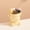 Creamy yellow single can, variant on Bear-shaped Ceramic Fruit Fork Set with 6 Colorful Ball Handles for Kitchen and Dessert