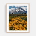 thumbnail image 2 of Blame It On the Tetons - Wyoming Photography Mountain Flowers Scenic Nature Landscape Wilderness Summer Unframed Wall Art Print 16 x 20 inches, 2 of 4