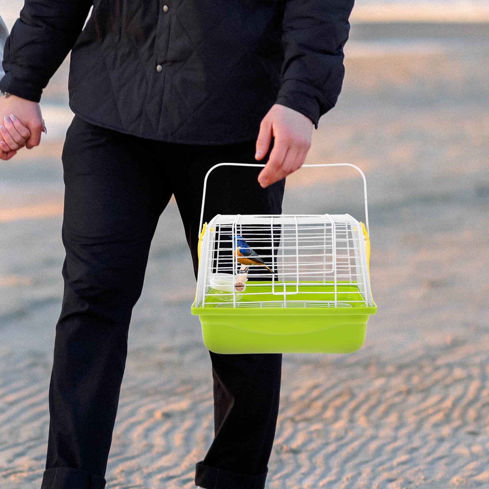 Luxshiny Portable Small Bird Cage with Handle, Travel Carrier for Budgie, Parrot, Conure and Small Birds