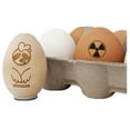 thumbnail image 1 of Ionizing Radiation Radioactive Trefoil Symbol Egg Chicken Rubber Stamp - Small 3/4 Inch, 1 of 1