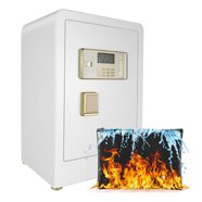 First Alert Steel Hanging File Folder Box Safe with Key Lock, 3050F ...