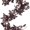 1PCS, variant on 6FT  Artificial Plum Cimicifuga Garland Fall Decor - Fall Decorations for Home - Halloween Thanksgiving Decorations - Autumn Leaves Garlands Centerpieces for Tables Mantle Wedding (1PCS)