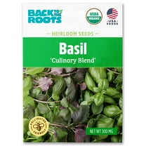 Back to the Roots Organic Basil 'Culinary Blend', 1 Seed packet