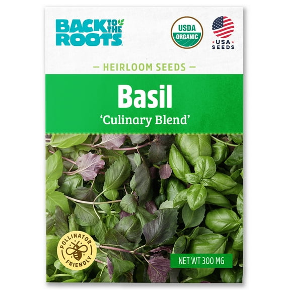 Back to the Roots Organic Basil 'Culinary Blend', 1 Seed packet