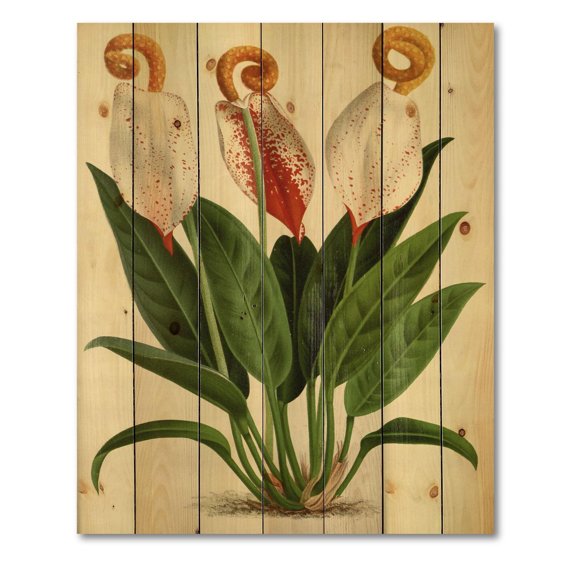 Designart 'Retro Wildflowers' Farmhouse Print on Natural Pine Wood