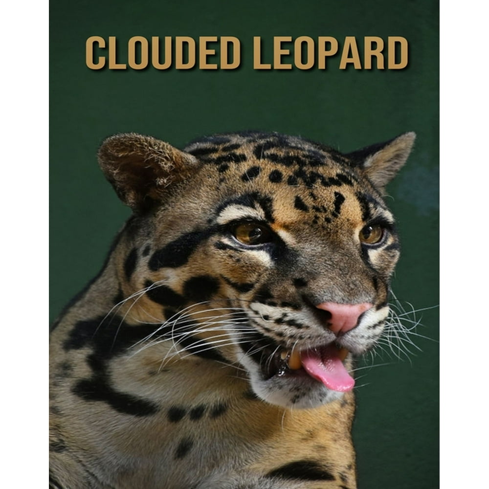 Clouded Leopard: Fun Facts & Cool Pictures (Paperback) - Walmart.com