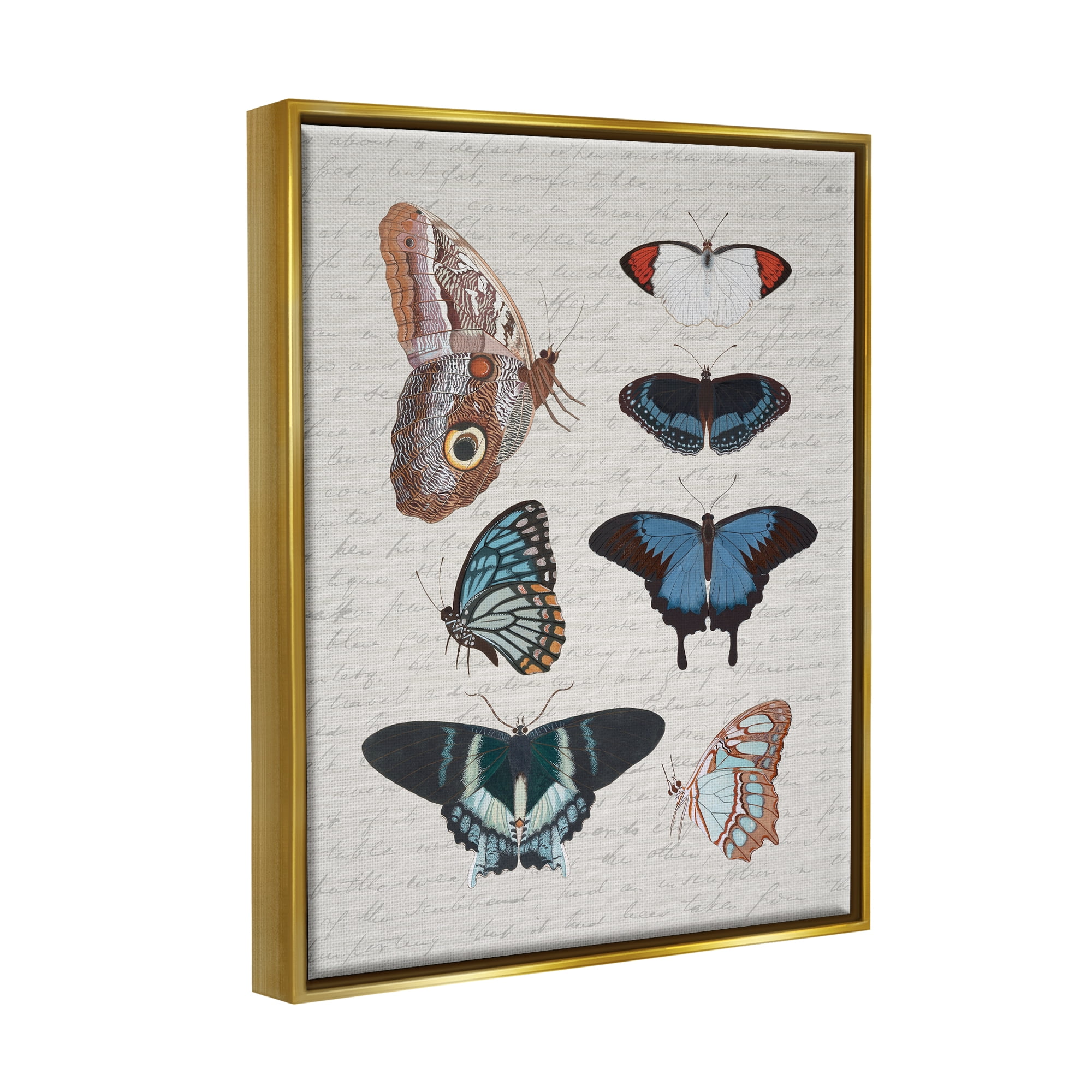 Stupell Industries Various Vintage Butterflies Animals & Insects Painting Gold Floater Framed Canvas Art Print Wall Art, 17 x 21
