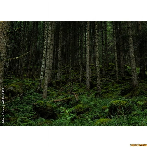 Tropical Rainforest Coniferous Forest Moss Fall Tree Photography Backdrops Prop Jungle Nature Landscape Theme Background ZL-1