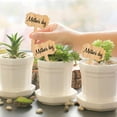 thumbnail image 3 of Ksopiavobs 60Pcs Bamboo Plant Labels with 1 Marker Pen Eco-Friendly T-Type Wooden Plant Sign Tags Wood Garden Markers Decorative Garden Tags for Seed Potted Herbs Flowers Vegetables (6.5 X 10 cm), 3 of 5