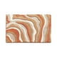 thumbnail image 2 of Alfombra de baño suave y absorbente | Base antideslizante para baño, cocina y entrada | Alfombra de poliéster de secado rápido | 40 x 60 cm (15,75 x 23,6 pulgadas), 2 of 6