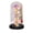 Multicolor, variant on Homenest Gold Foil Rose Glass Dome with LED Lights Eternal Flower Ornament Romantic Gift for Women Valentine's Day Birthday Blue