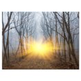 thumbnail image 2 of Yellow Sun Rays in Misty Forest - Landscape Photography Canvas Print, 2 of 3