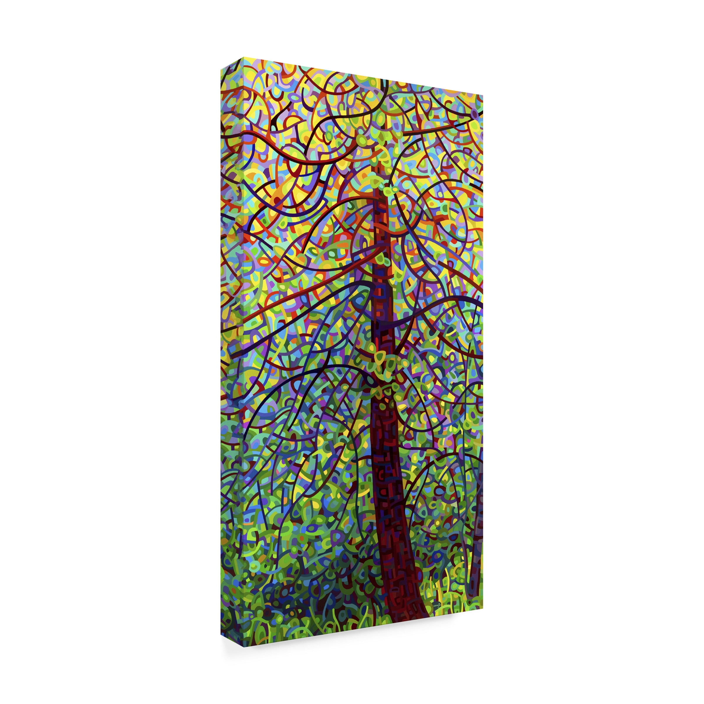 Mandy Budan 'Kaleidoscope' Canvas Art