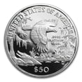 thumbnail image 3 of 1999-W 1/2 oz Proof American Platinum Eagle (w/Box & COA), 3 of 3