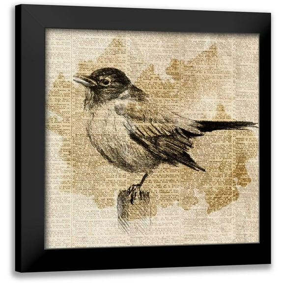 Loreth, Lanie 12x12 Black Modern Framed Museum Art Print Titled - Bird Study II