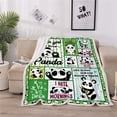 thumbnail image 5 of Yibo Panda Gifts Blanket Flannel Soft and Comfortable Anti-static Bed Sofa Blanket, 5 of 5